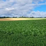 Дом отдыха In Well Near Maasduinen Park *