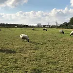 In Well Near Maasduinen Park *