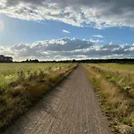 In Well Near Maasduinen Park