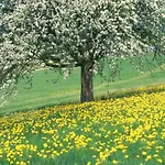 In Well Near Maasduinen Park Дом отдыха *