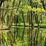 In Well Near Maasduinen Park Дом отдыха Knikkerdorp