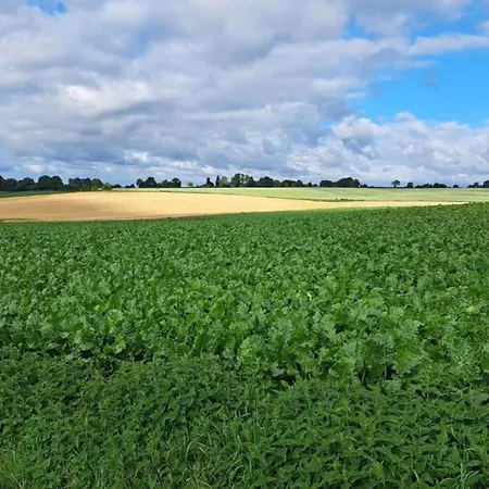 Semesterbostad In Well Near Maasduinen Park *