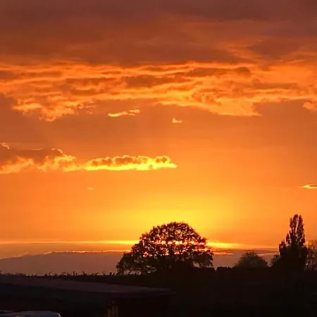 In Well Near Maasduinen Park Semesterbostad