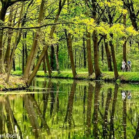 In Well Near Maasduinen Park Nyaraló Knikkerdorp
