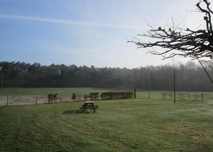 In Well Near Maasduinen Park بيت للعطل *