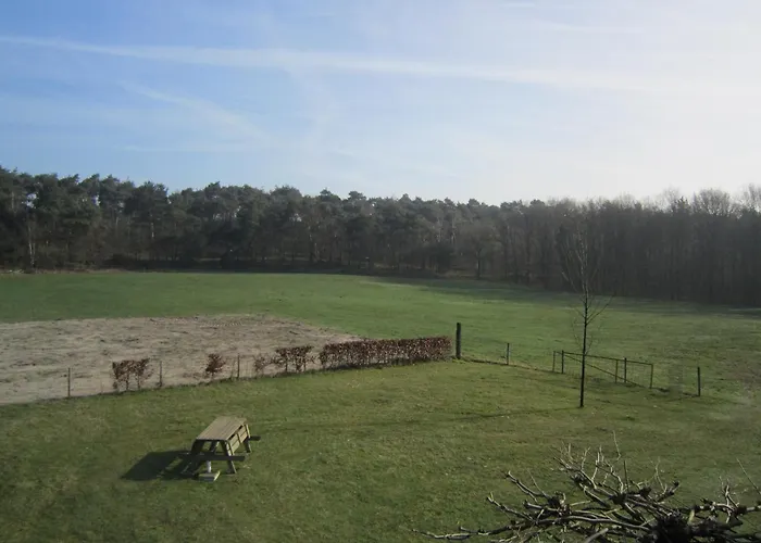 In Well Near Maasduinen Park بيت للعطل *