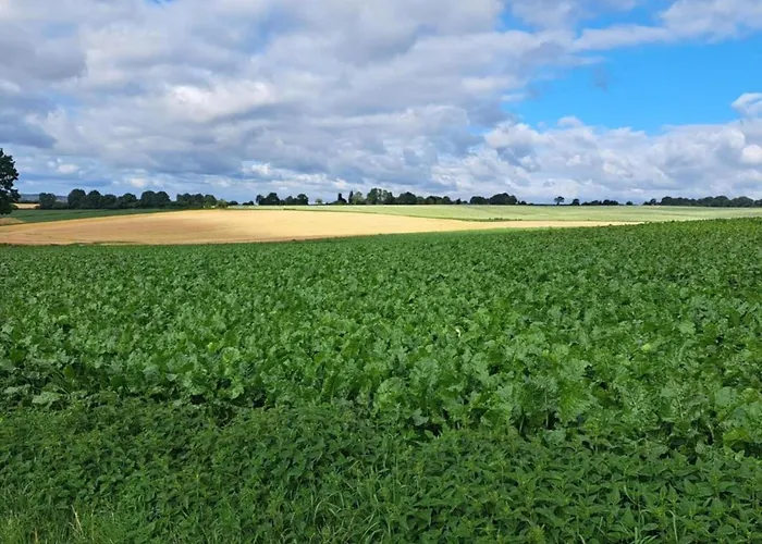 بيت للعطل In Well Near Maasduinen Park *