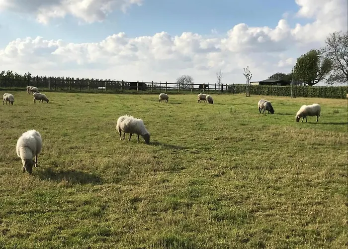 In Well Near Maasduinen Park *