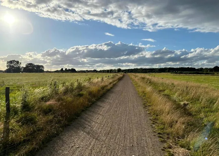 In Well Near Maasduinen Park