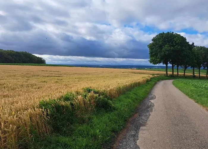 In Well Near Maasduinen Park بيت للعطل