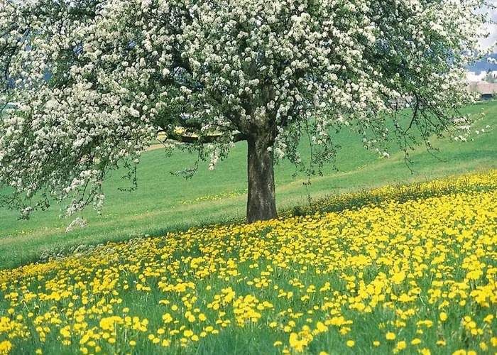 In Well Near Maasduinen Park بيت للعطل *