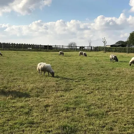 In Well Near Maasduinen Park *